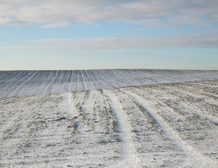 Naklejka premium Plowed field.