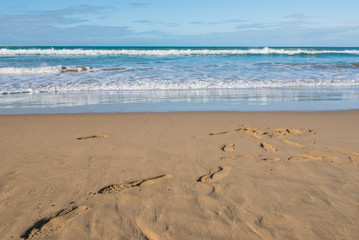 footprints on the beach, great ocean road, Victoria, Australia.
