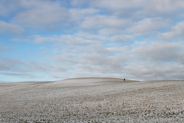 Plowed field.
