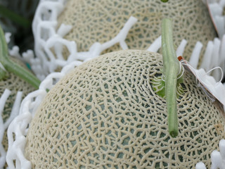 stack of melon fruit