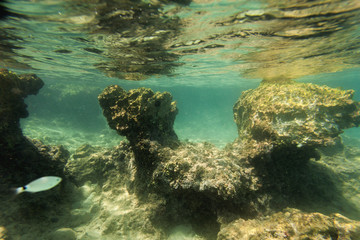  beach underwater