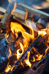 Close Up of Camping Fire