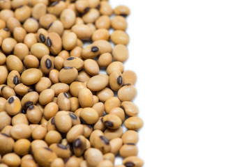 Organic soy beans macro