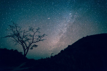 Naklejka na ściany i meble Milky Way Galaxy, Night Sky with Amazing Stars.