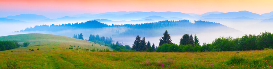 Panorama of the summer morning in the foggy Carpathian mountains