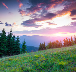 Naklejka na ściany i meble Colorful summer sunset in the Carpathian mountains