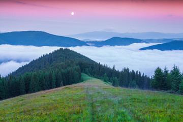Fototapeta na wymiar Early morning in the summer Carpathian mountains