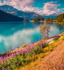 Foto op Canvas Colorful summer morning on the Champferersee lake © Andrew Mayovskyy