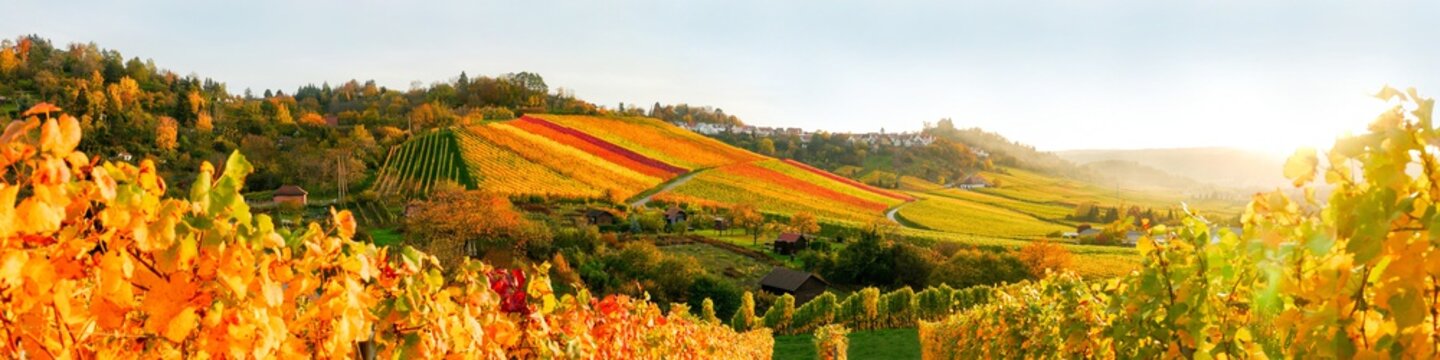 Sonnenuntergang in den Weinbergen