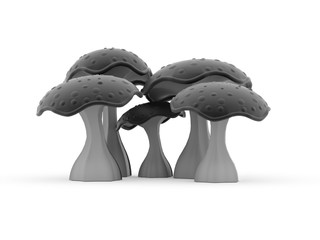 Black mushrooms rendered isolated
