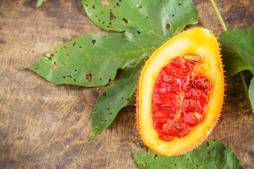 spring bitter cucumber on wooden background