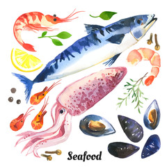 Vector Illustration with watercolor food. Mackerel. Watercolor set of sea food with trout, salmon and mussels drawn by hand on a white background.