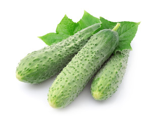 Cucumber
