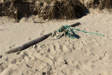 Driftwood and rope washed up on the beach
