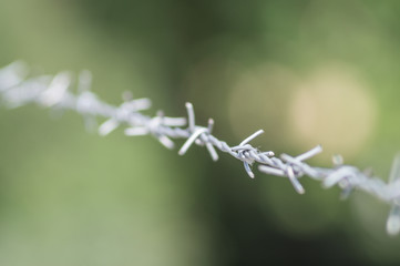 barbed wire
