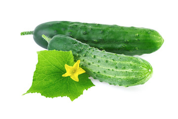 fresh cucumber with leaf isolated on white