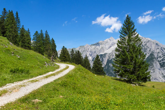 Path through summer mountain landscape. Austria. Tirol, near Walderalm.