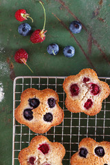 berry  financier