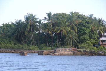 Guyane - Les îles du Salut - Août 2015