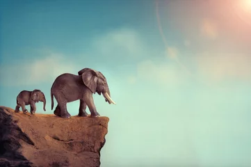 Zelfklevend Fotobehang uitsterven concept olifant familie op rand van klif © eelnosiva