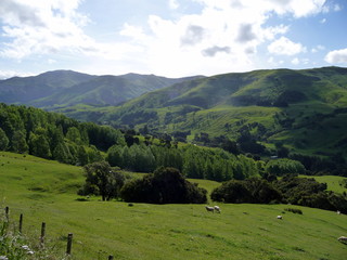 Landschaft, Natur und Wildnis auf der Südinsel Neuseelands