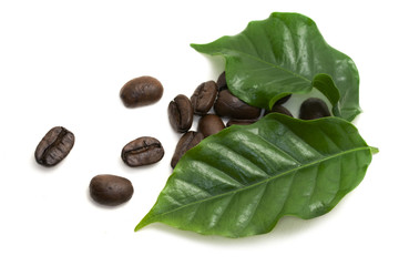 Grouped roasted coffee beans under the green leaf isolated on white background.