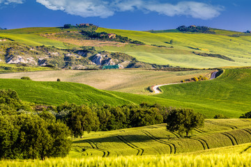 Beautiful and miraculous colors of green spring landscape of Tus