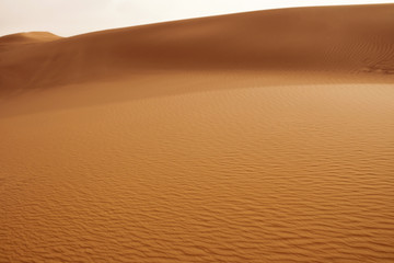 Closeup view of Sand Dunes in the Sahara. Desert in Sunset Scenery Background. Sand Waves.