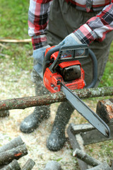 chop wood Chainsaw