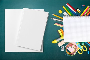 School, pin, binder.