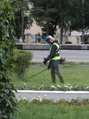 workers mow the lawn