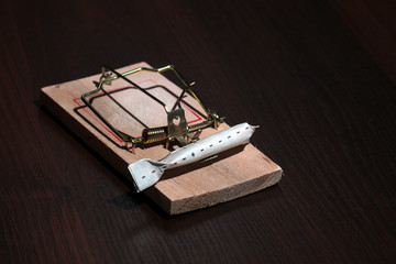 Drugs in a mousetrap cant dose syringe