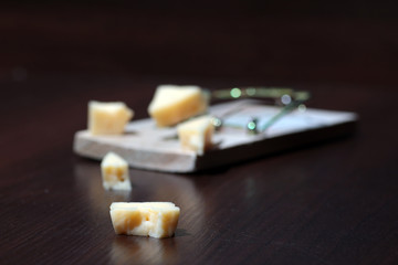 Fototapeta na wymiar cheese in a mousetrap
