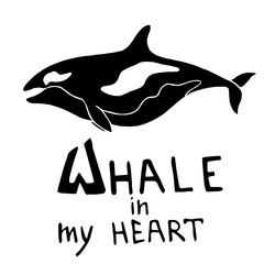 Silhouette killer whale with lettering - Whale in my heart. Vector monochrome illustration.
