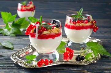 Redcurrant yoghurt with peppermint