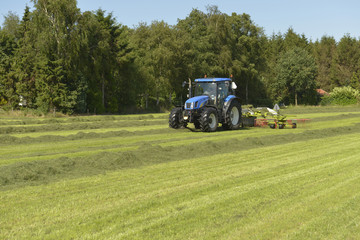 Agriculture, the kidding of shaken grass with blue tractor with