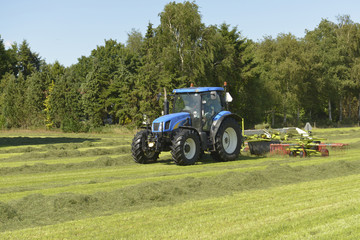 Fototapeta premium Agriculture, the kidding of shaken grass with blue tractor with