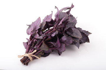 Small bunch of purple basil leaves, isolated