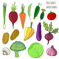Vegetable hand drawn set. Isolated vegetables vector illustration. Vegetable stylized collection for design.