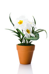 Fototapeta na wymiar Artificial daisy in terra cotta flower pot