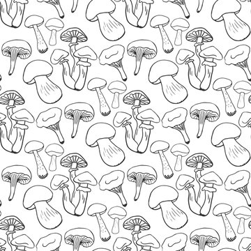 Hand drawn mushrooms seamess pattern. Doodle vector background with edible mushrooms. Healthy food