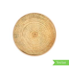 Fototapeta premium Tree stump, round cut with annual rings vector. Wooden cross section. Vector illustration. Realistic isolated circle tree can be used for icon, sticker, label, backdrop.
