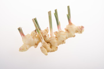 Ginger root on the background