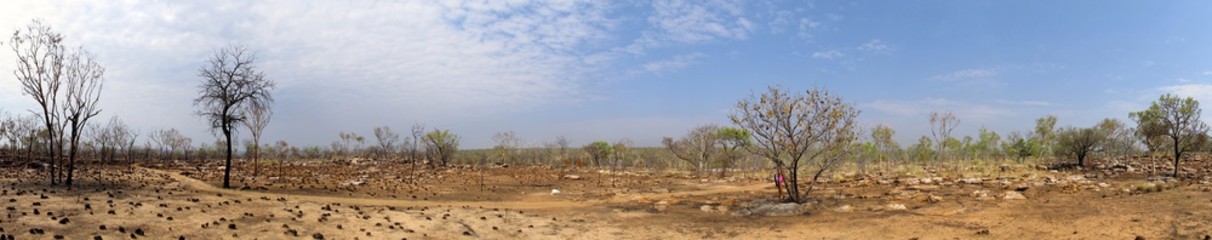 Fototapeta premium outback road, australia