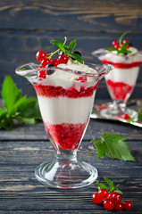 Redcurrant yoghurt with peppermint