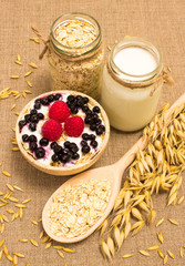 oat grain and oatmeal with fresh fruits