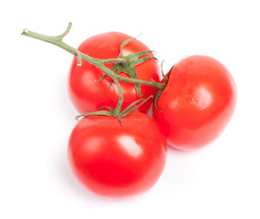 Branch of tomatoes