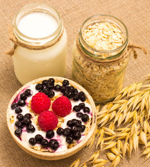 oat grain and oatmeal with fresh fruits