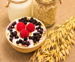oat grain and oatmeal with fresh fruits