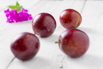 plums and flower/ big ripe plums and flower on white boards close up